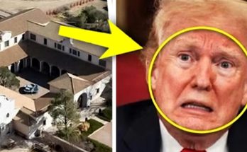 Aerial house view with arrow to Trump close-up