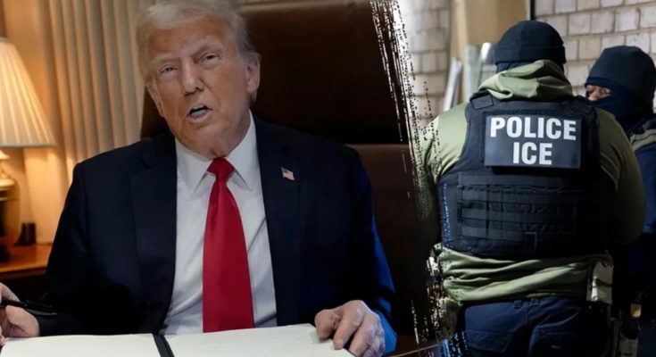 ICE agents detaining individual in enforcement action