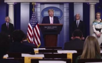 Social media posts about Trump 2028 opinion