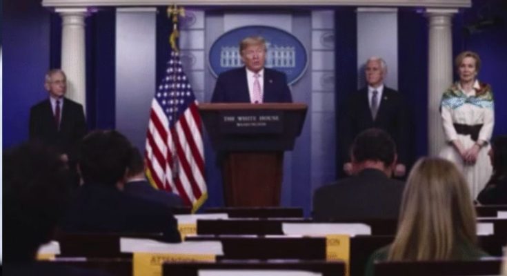 Social media posts about Trump 2028 opinion