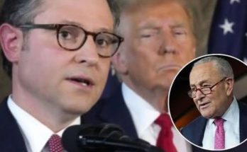 Nazi-looted artwork restitution case documents