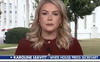 California coastline with surveillance security