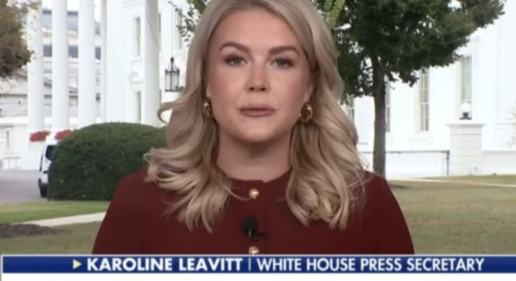 California coastline with surveillance security