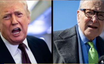 ICE agents at US airport security checkpoint