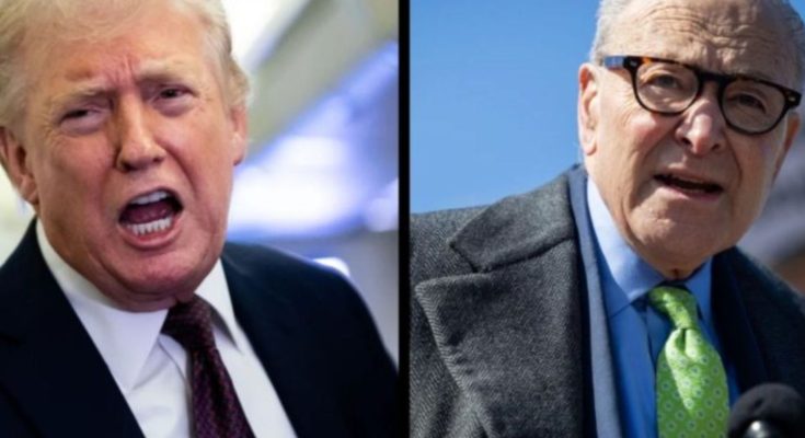 ICE agents at US airport security checkpoint