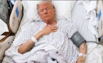 Donald Trump public appearance file photo