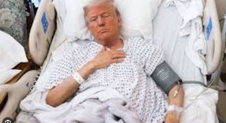 Donald Trump public appearance file photo