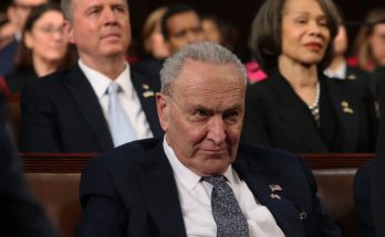 Chuck Schumer speaking on voter ID laws