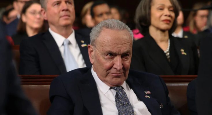 Chuck Schumer speaking on voter ID laws