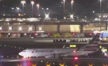American Airlines plane at Newark Airport gate
