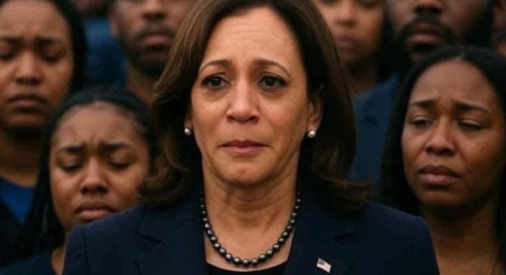 Main image related to In a momentous return to her home state, Vice President Kamala Harris
