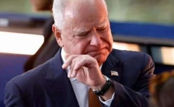 Main image related to Tim Walz Rise: From Minnesota Governor to National Stage