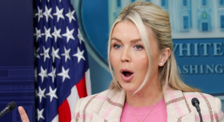 Karoline Leavitt ABC News Iran drones