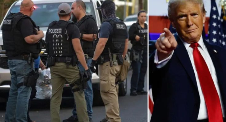 Pierre Reginald Boulos appearing in immigration court while held at Krome detention center in Miami