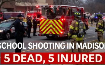 Paste your article here.a tragic accident on one news update what began as an ordinary day