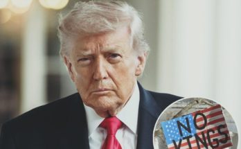 All the Celebrities Who Attended the ‘No Kings’