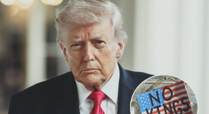 All the Celebrities Who Attended the ‘No Kings’