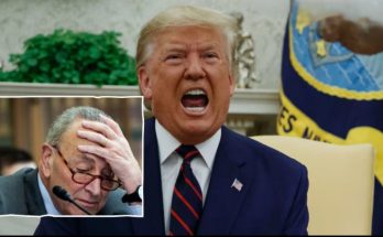 Trump outmaneuvers Schumer DHS funding