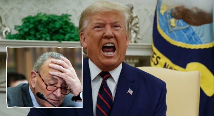 Trump outmaneuvers Schumer DHS funding