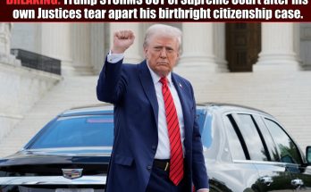 Trump storms out of Supreme Court