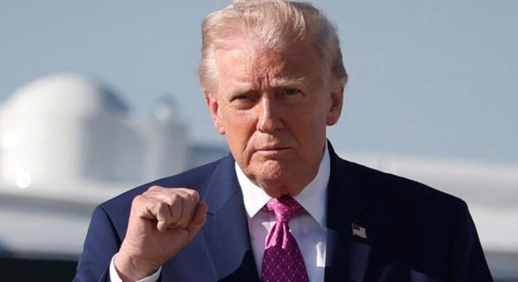 former President Donald Trump raises his fist outdoors near a large white aircraft