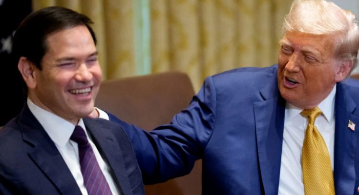 former Florida Governor Ron DeSantis laughs as former President Donald Trump places his