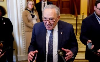 senator Chuck Schumer speaks to reporters in a hallway, gesturing with hands while