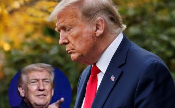 donald Trump in blue suit and red tie, looking down outdoors with autumn foliage, inset