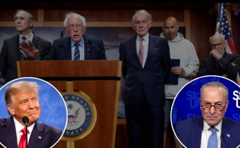 senators at podium with inset images of Trump and Schumer during political event