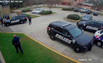 City mayor arrested not US citizen