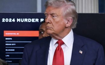 Trump arrests the one person liberals warned